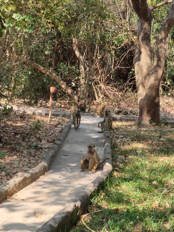 Selous Kinga Lodge Kwangwazi Dış mekan fotoğraf